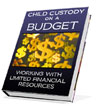 CHILD CU$TODY ON A BUDGET: HANDLING YOUR CHILD CUSTODY CASE WITH LIMITED FINANCIAL RESOURCES 