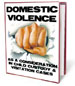 DOMESTIC VIOLENCE AS A CONSIDERATION IN CHILD CUSTODY AND VISITATION DECISIONS